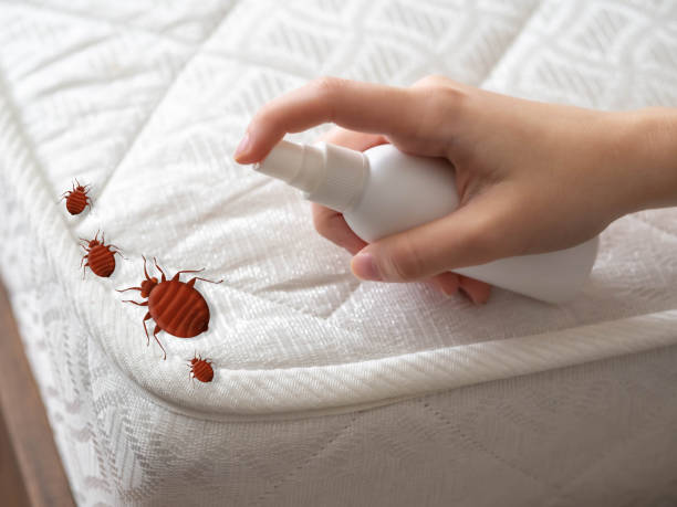 Professional Pest Control in Charles City, IA